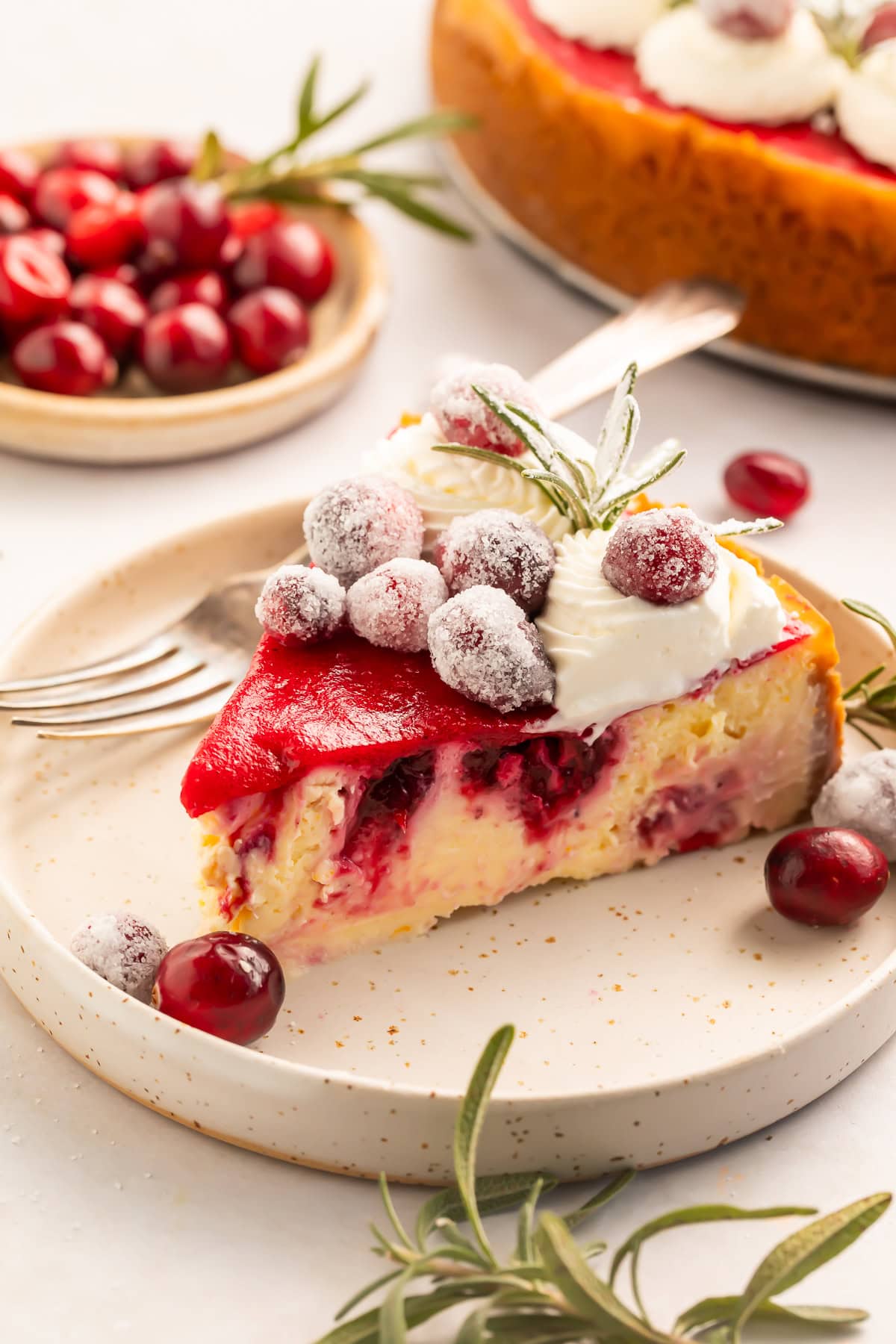 Slice of cranberry cheesecake decorated with whipped cream, sugared cranberries and fresh rosemary sprigs on a white plate.
