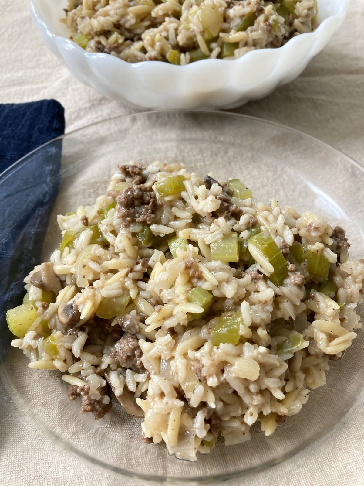 Close up of a plate of rice, celery and ground beef with a white serving bowl with more portions in the background.